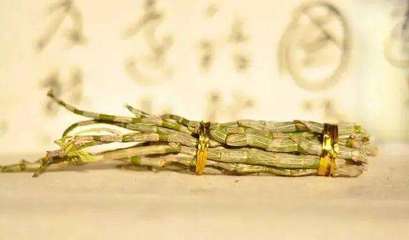 探尋仙草 石斛的奧秘與價值