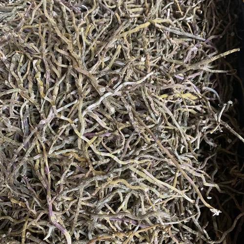 云南石斛產地探秘 自然資源與石斛種植的完美結合